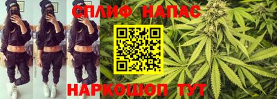 спиды Заводоуковск