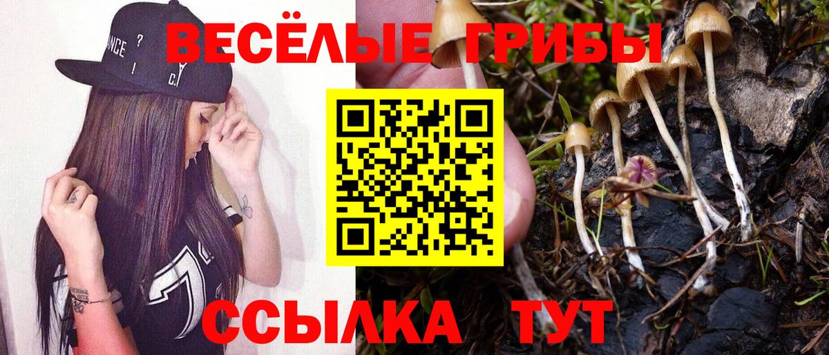 Алапаевск  Галлюциногенные грибы Psilocybine cubensis  Псилоцибиновые грибы MAGIC MUSHROOMS  Вход с VPN 
