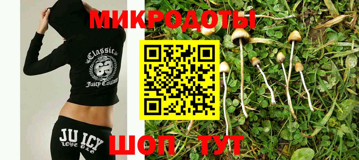 Галлюциногенные грибы Magic Shrooms Алапаевск